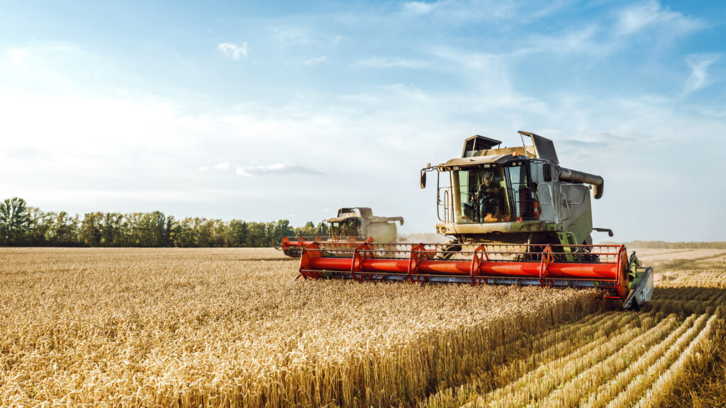 consórcio agro