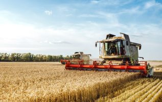 consórcio agro